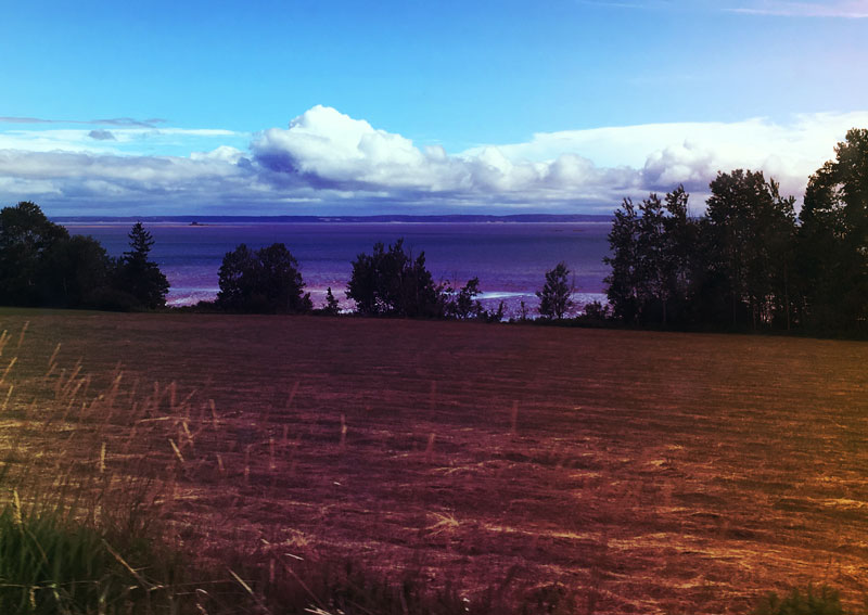 The True Meaning of ENTREPRENEUR