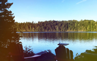 I’ll Sleep When I’m Dead