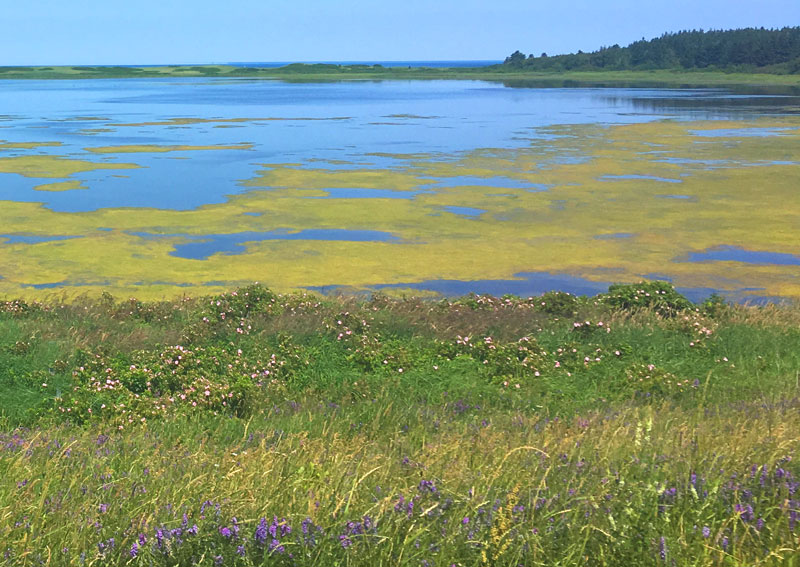 One Door Closes, Many More Open