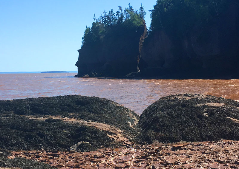 Feeling Stuck – Look Up!